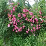 Rio Villaggio Costacciaro