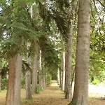 Rio Villaggio