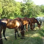 Rio Villaggio Costacciaro