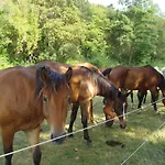 ホリデーパーク Rio Villaggio