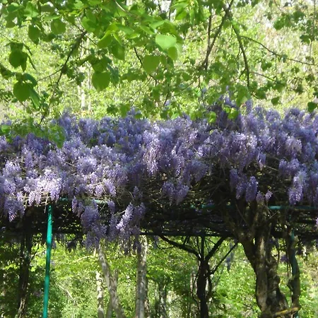 Semesterpark Rio Villaggio