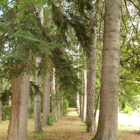 Rio Villaggio