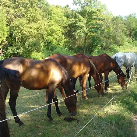 Rio Villaggio Costacciaro