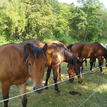 Tatil parkı Rio Villaggio