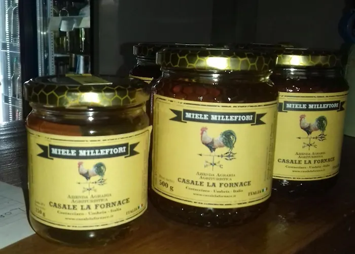 Kompleks wypoczynkowy Rio Villaggio