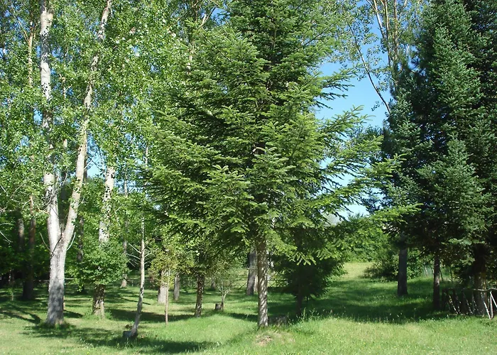 Vakantiepark Rio Villaggio