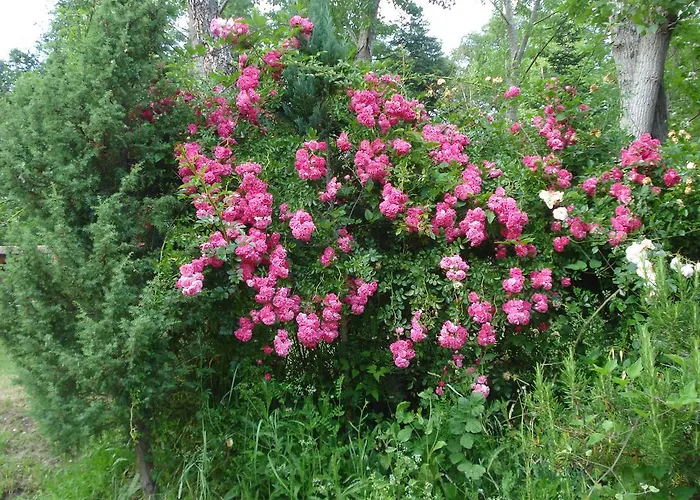 Rio Villaggio Costacciaro