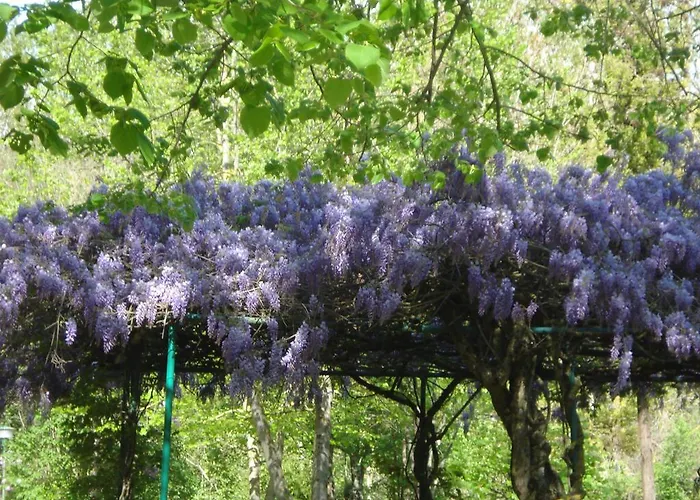 Vakantiepark Rio Villaggio