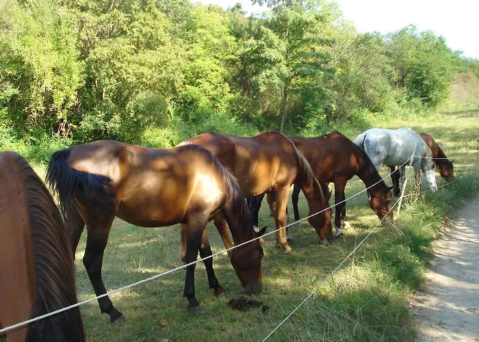 Rio Villaggio Costacciaro