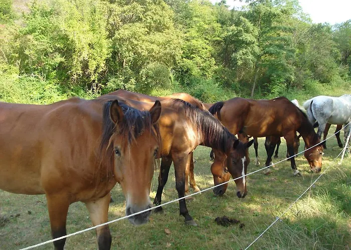 Vakantiepark Rio Villaggio