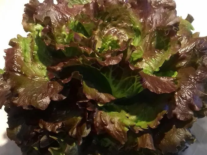 Rio Villaggio 3* Costacciaro